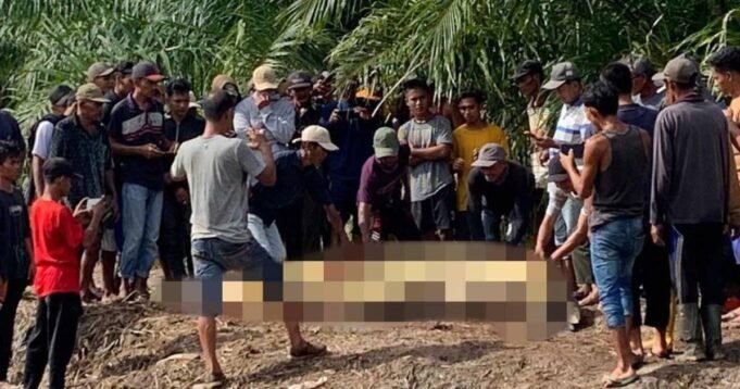 Tim SAR menemukan kepala nelayan yang hilang di perut buaya. Berita Dunia

