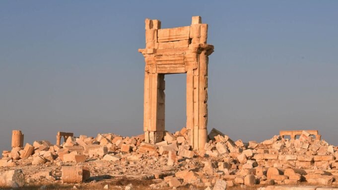 Palmyra